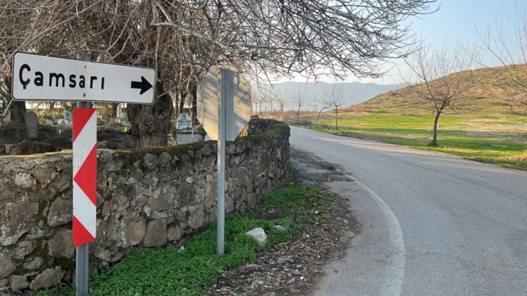 Hatay'da mahalle kuduz nedeniyle karantinaya alındı