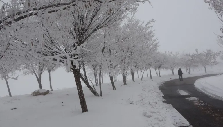 Bitlis’te yoğun sis nedeniyle görüş mesafesi 10 metreye düştü