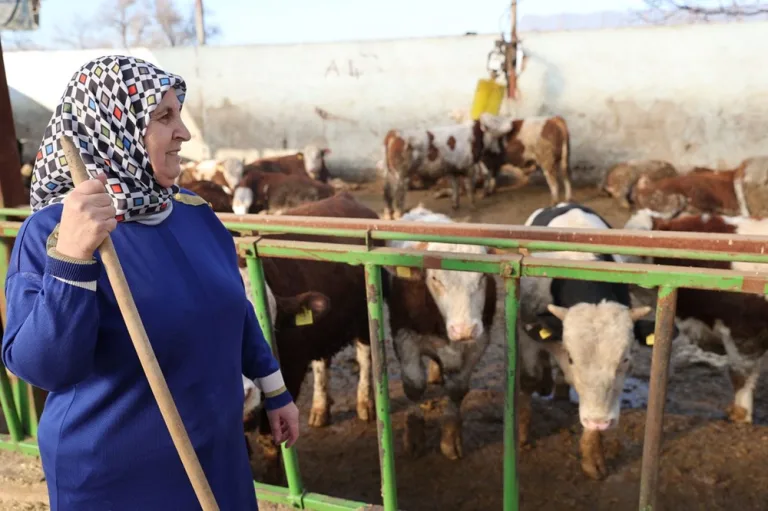 61 yaşındaki kadın, 7 yılda çiftlik sahibi oldu