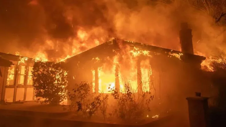 Los Angeles'ta yangınlar nedeniyle bir kişi gözaltına alındı