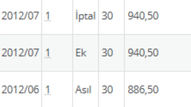 e-Devlet'te sahte sigorta tespiti emekli maaşlarını etkiliyor