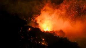 Turabi, Los Angeles'taki yangında evini ve arabasını kaybetti