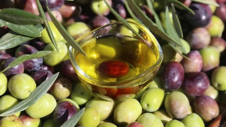 Türkiye zeytin ve zeytinyağı üretiminde rekor kırıyor